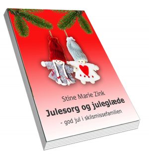 Ebog Få en god jul efter skilsmissen